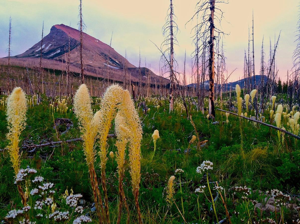 Great Northern Resort West Glacier Exterior foto